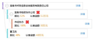 淮南市環球信息咨詢服務有限責任公司 專業信息咨詢服務的引領者